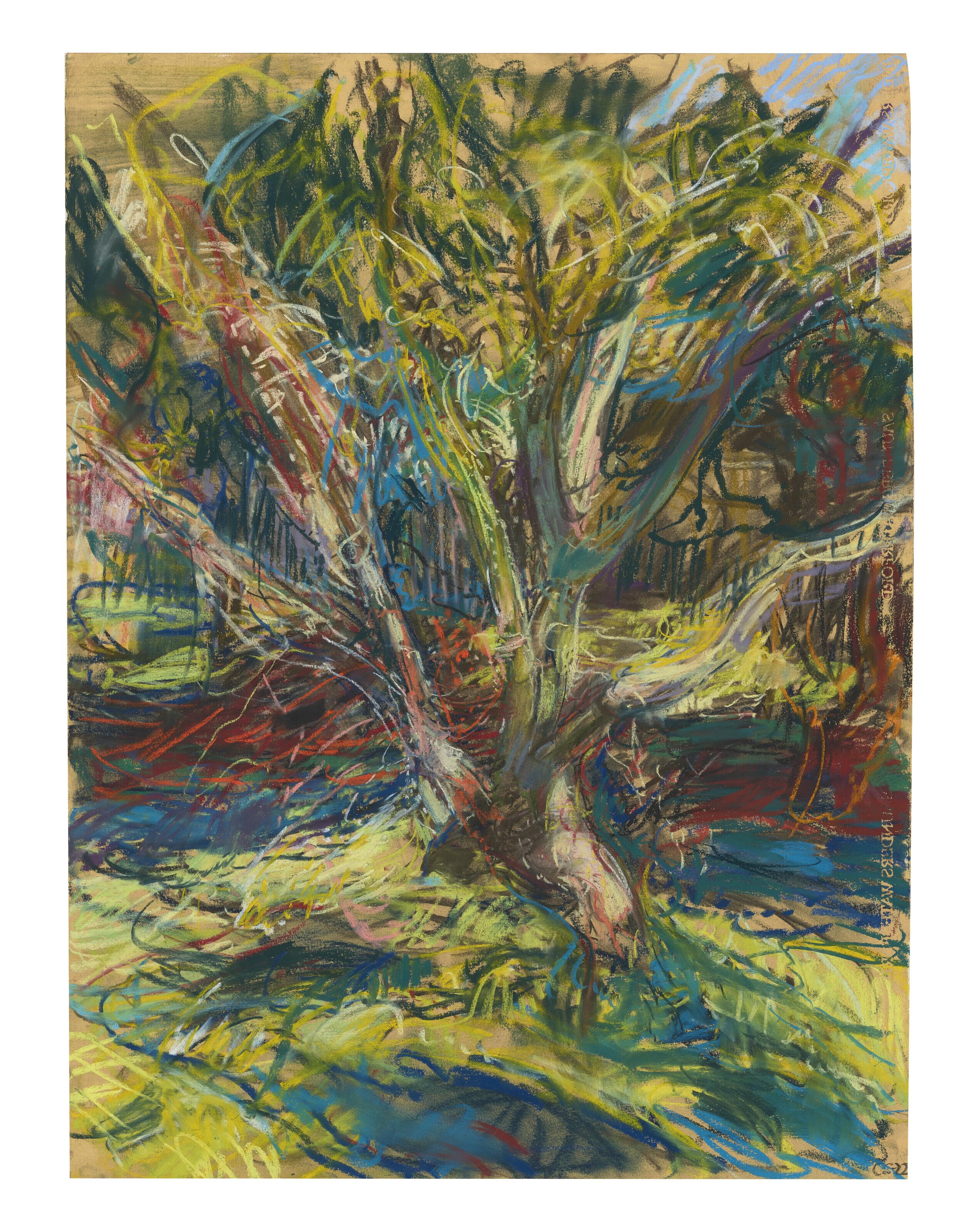 Catherine Goodman - The Giving Tree