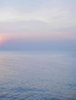 Catherine Opie - Untitled #19