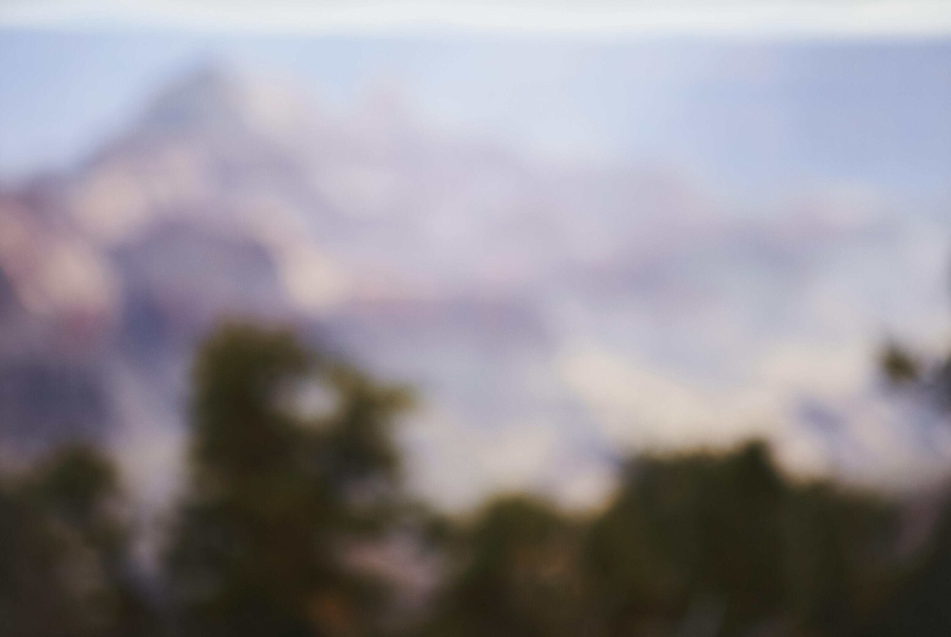 Catherine Opie - Untitled #7, 2012