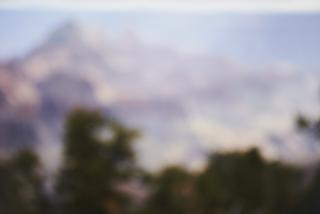 Catherine Opie - Untitled #7, 2012