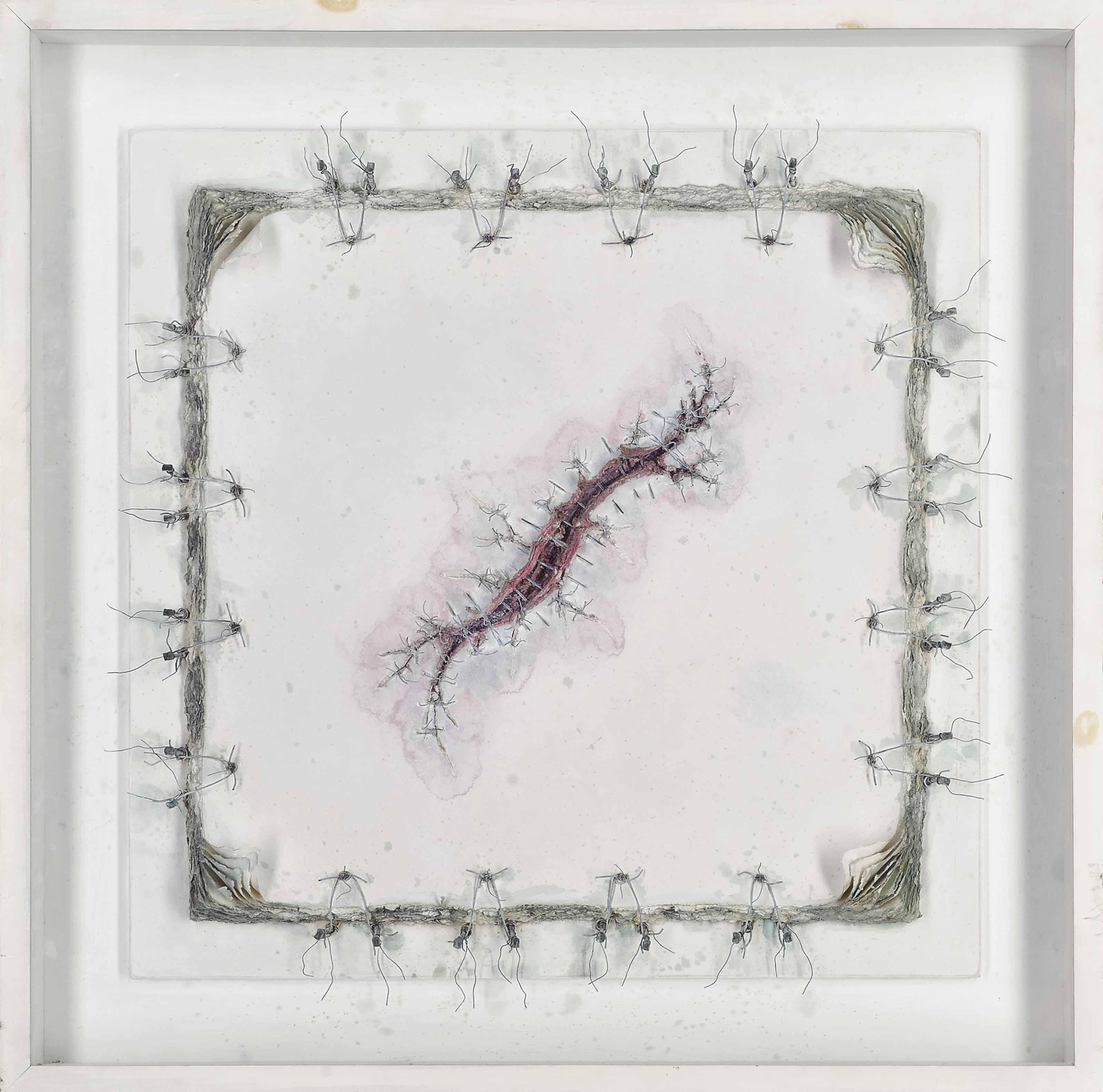 Cathy de Monchaux - Wound drawing no 8 (Scar)