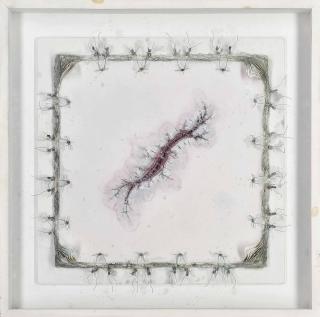 Cathy de Monchaux - Wound drawing no 8 (Scar)