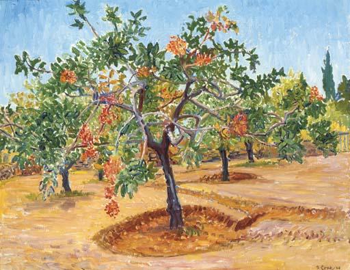 Cavendish Morton - Plant Study