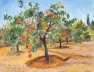 Cavendish Morton - Plant Study