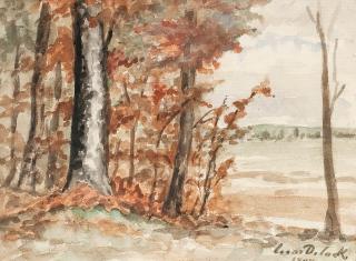 Ceasar De Cock - Autumn.