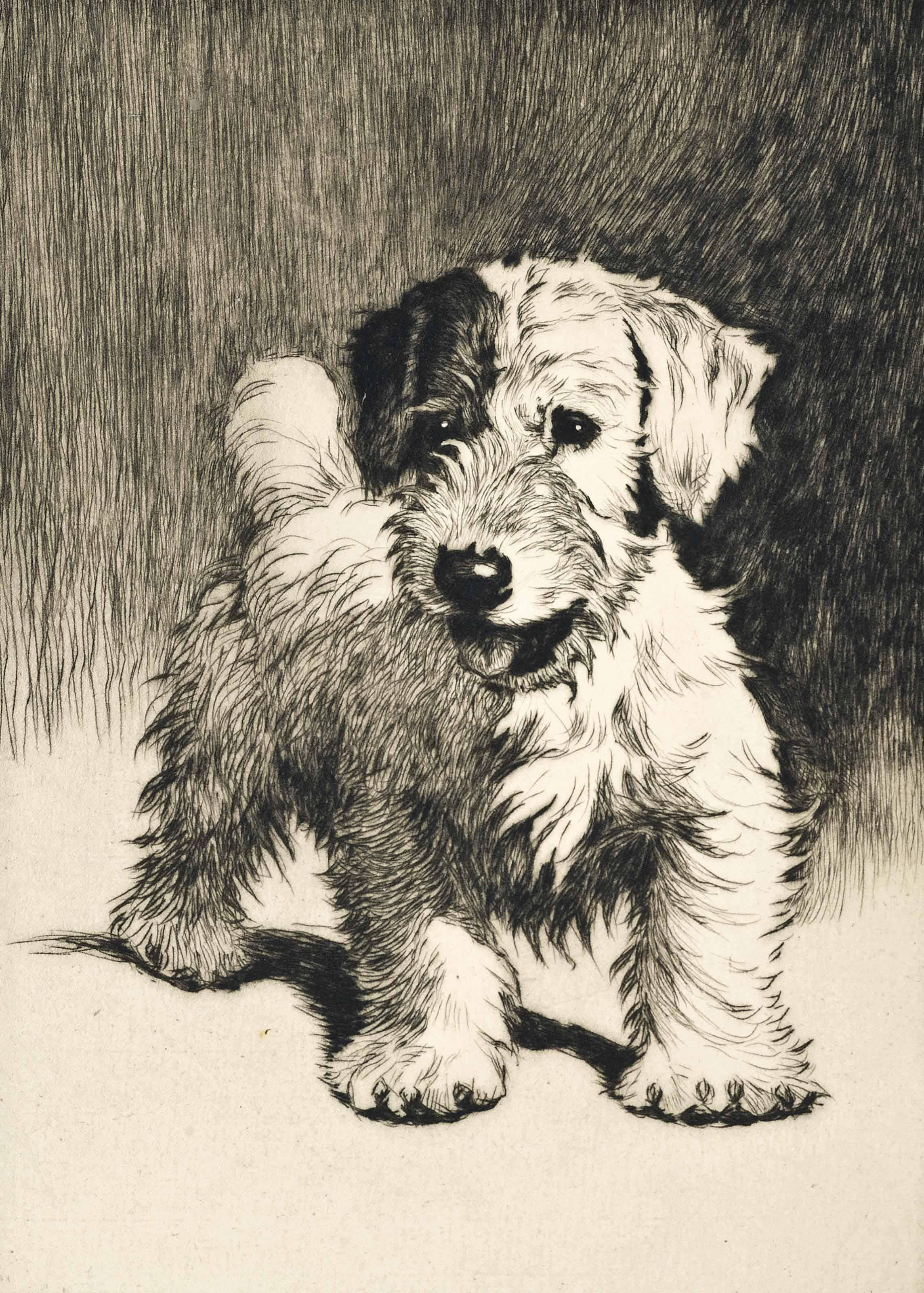 Cecil Charles Windsor Aldin, R.B.A. - A bunch of mischief