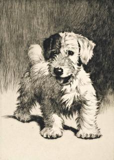 Cecil Charles Windsor Aldin, R.B.A. - A bunch of mischief