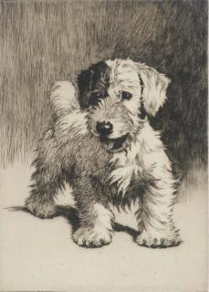 Cecil Charles Windsor Aldin, R.B.A. - A bunch of mischief