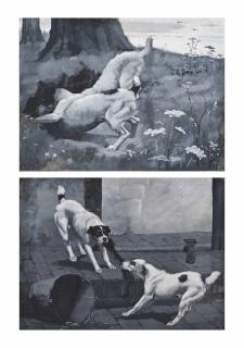 Cecil Charles Windsor Aldin, R.B.A. - Gone to earth; and Tug-o\'war