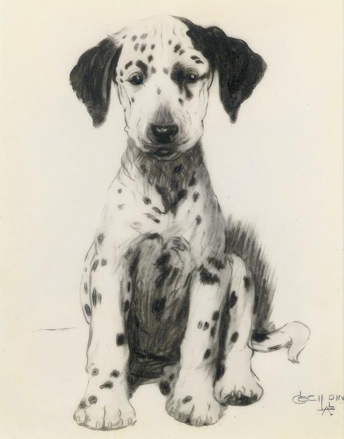 Cecil Charles Windsor Aldin, R.B.A. - Loopy, The Dalmatian Puppy