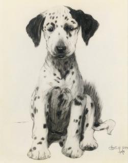 Cecil Charles Windsor Aldin, R.B.A. - Loopy, The Dalmatian Puppy