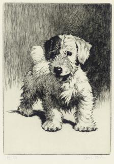 Cecil Charles Windsor Aldin - A Bunch Of Mischief