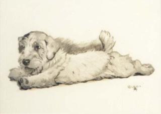 Cecil Charles Windsor Aldin - A mischevious puppy