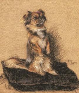 Cecil Charles Windsor Aldin - A Pekingese seated on a cushion