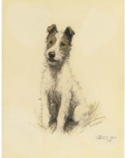 Cecil Charles Windsor Aldin - A Wire Haired Fox Terrier