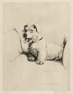 Cecil Charles Windsor Aldin - On the look out