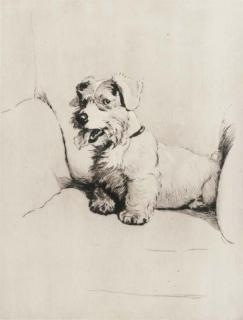 Cecil Charles Windsor Aldin - Ready for Mischief