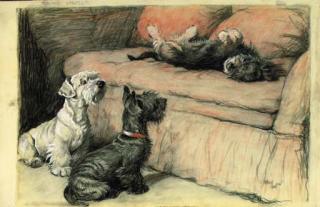 Cecil Charles Windsor Aldin - The Young Visitor