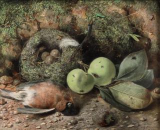 Cecil Gordon Lawson - Fruit, a nest and game on a forest floor