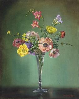 Cecil Kennedy - Anemones