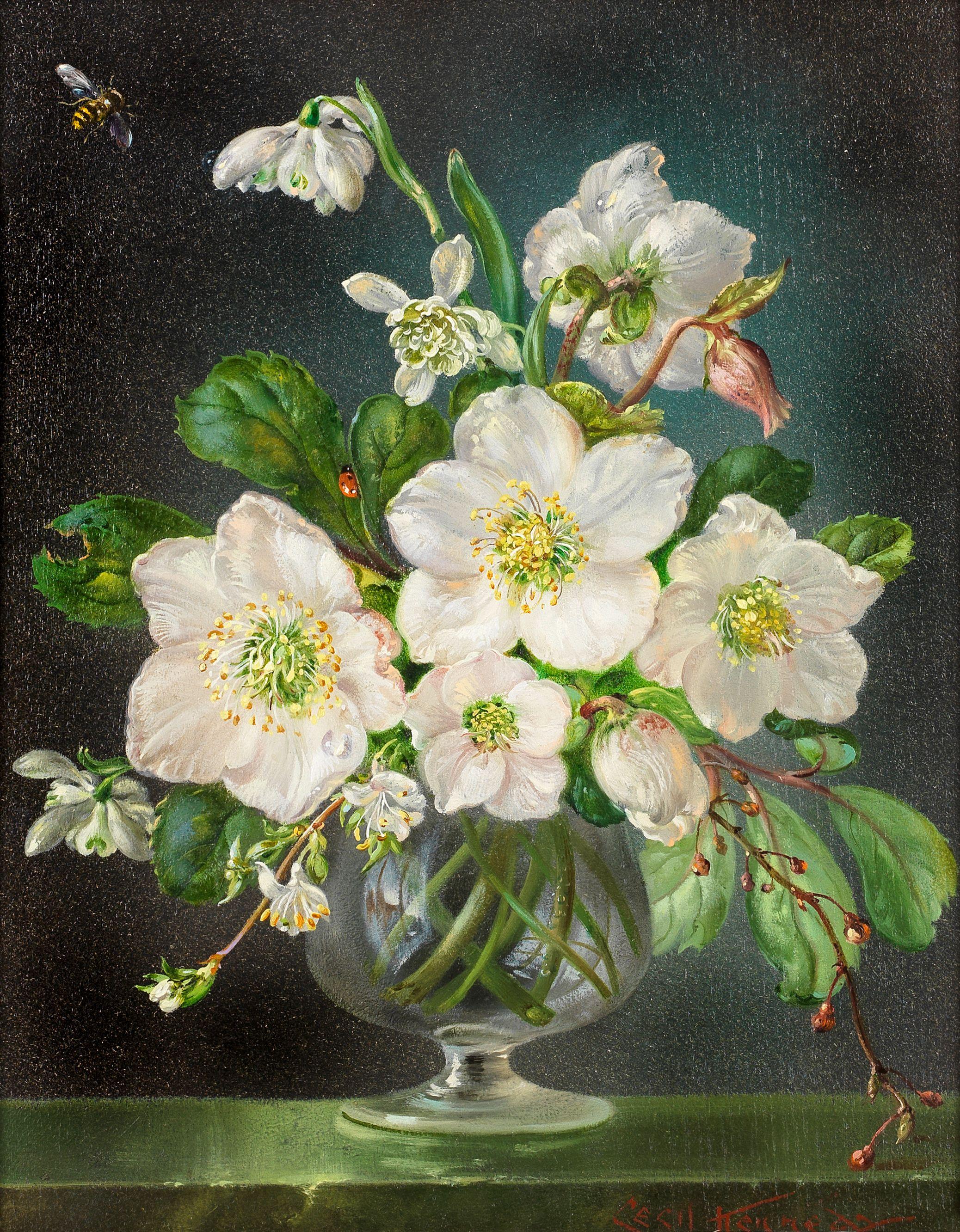Cecil Kennedy - Christmas roses and snowdrops in a glass vase