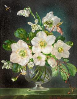 Cecil Kennedy - Christmas roses and snowdrops in a glass vase