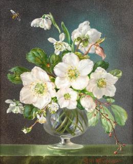 Cecil Kennedy - Christmas roses and snowdrops in a glass vase