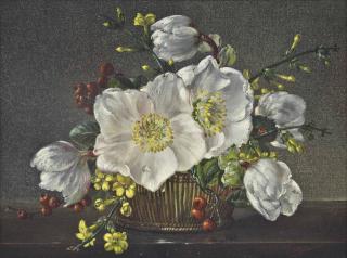 Cecil Kennedy - Christmas Roses