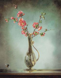 Cecil Kennedy - Cydonia