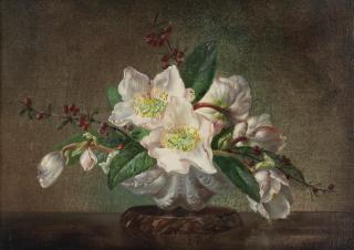 Cecil Kennedy - Hellebores and hawthorn