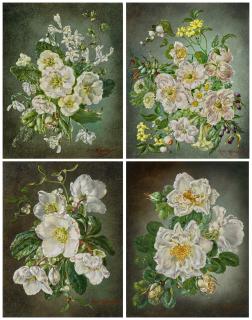 Cecil Kennedy - Spring; Summer; Autumn; Winter: The Four Seasons