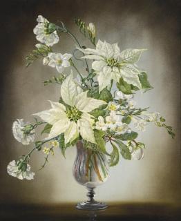 Cecil Kennedy - Still-Life With White Poinsettia