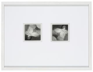 Cecilia Edefalk - Untitle