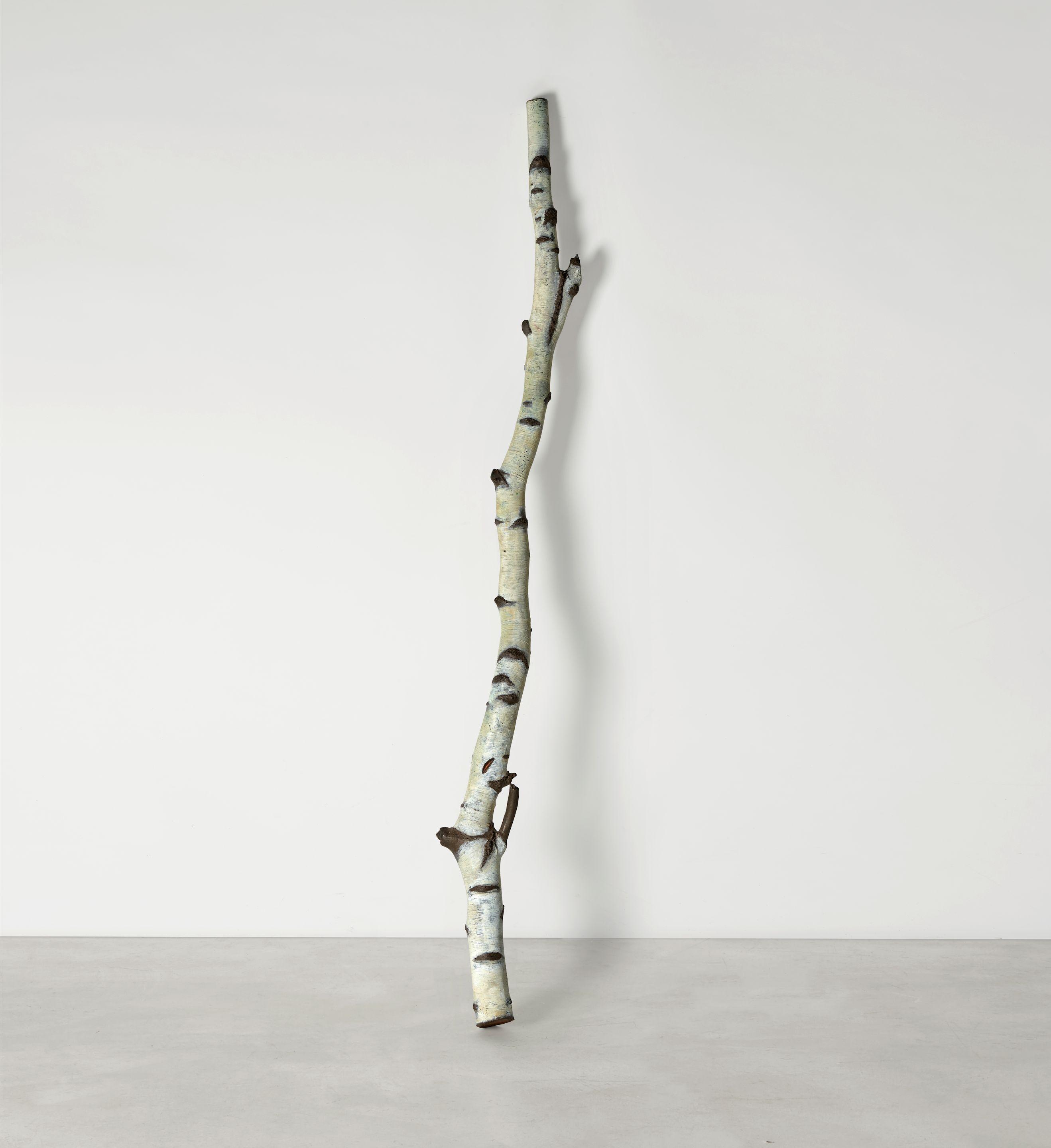 Cecilia Edefalk - Weeping Birch Stem