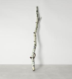 Cecilia Edefalk - Weeping Birch Stem
