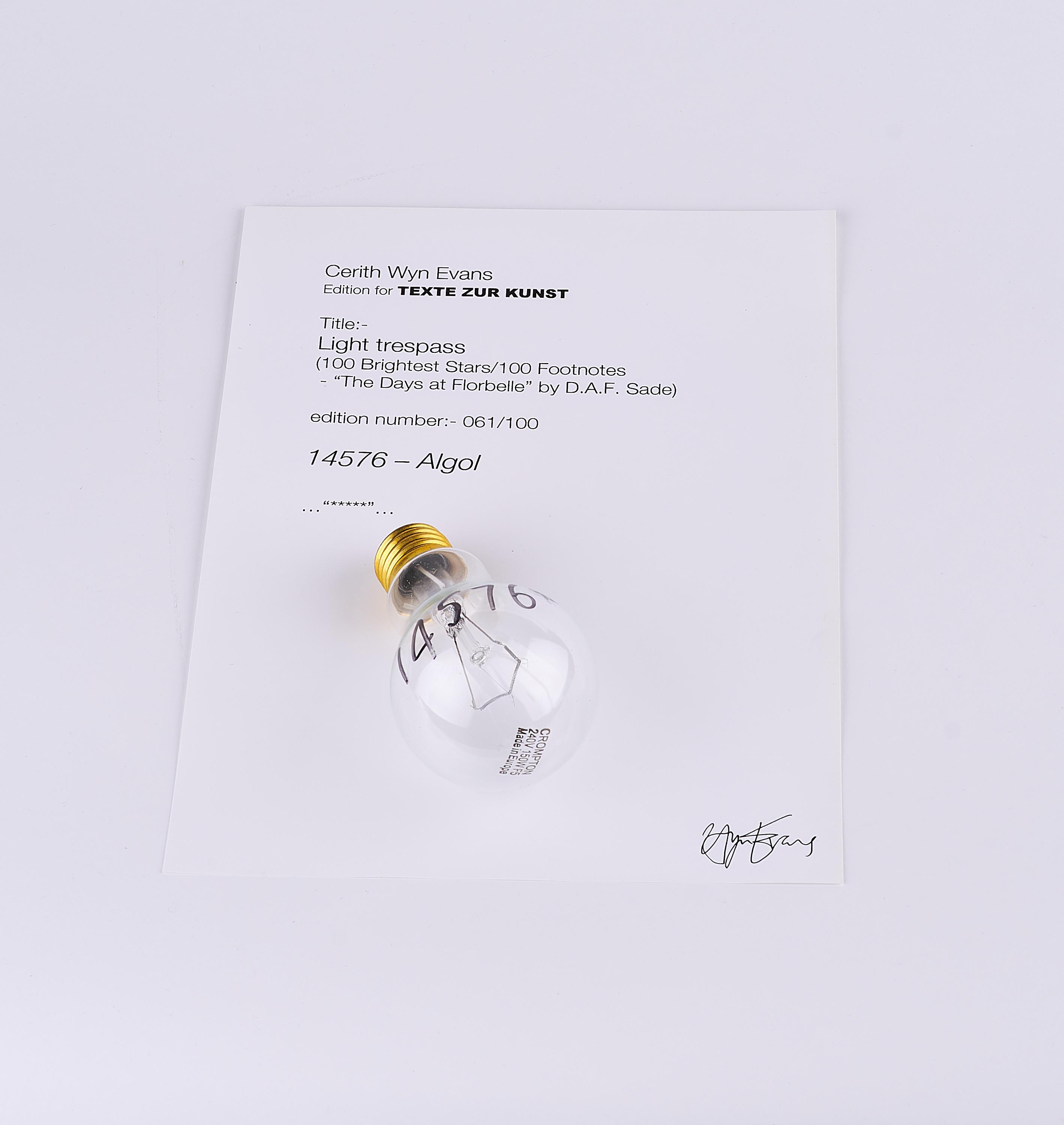 Cerith Wyn Evans - Light trespass.