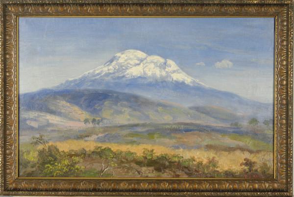 Cesar A. Villacres - Mountain view