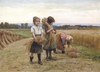 César Pattein - The young harvesters