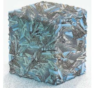 Cesar - Nice Aeroport