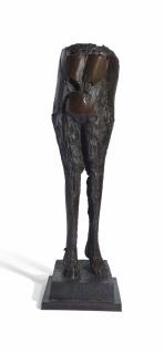 César - Nu de la belle de mai