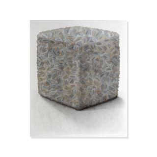 César - Portrait de compression de cartes de garantie Cartier