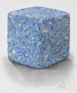 César - Portrait de Compression