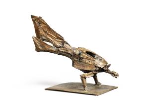 César - Poule paon or Les pieds au mur