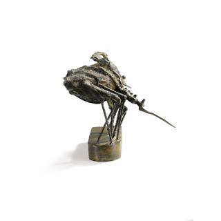 César - Sans Titre (Insecte)