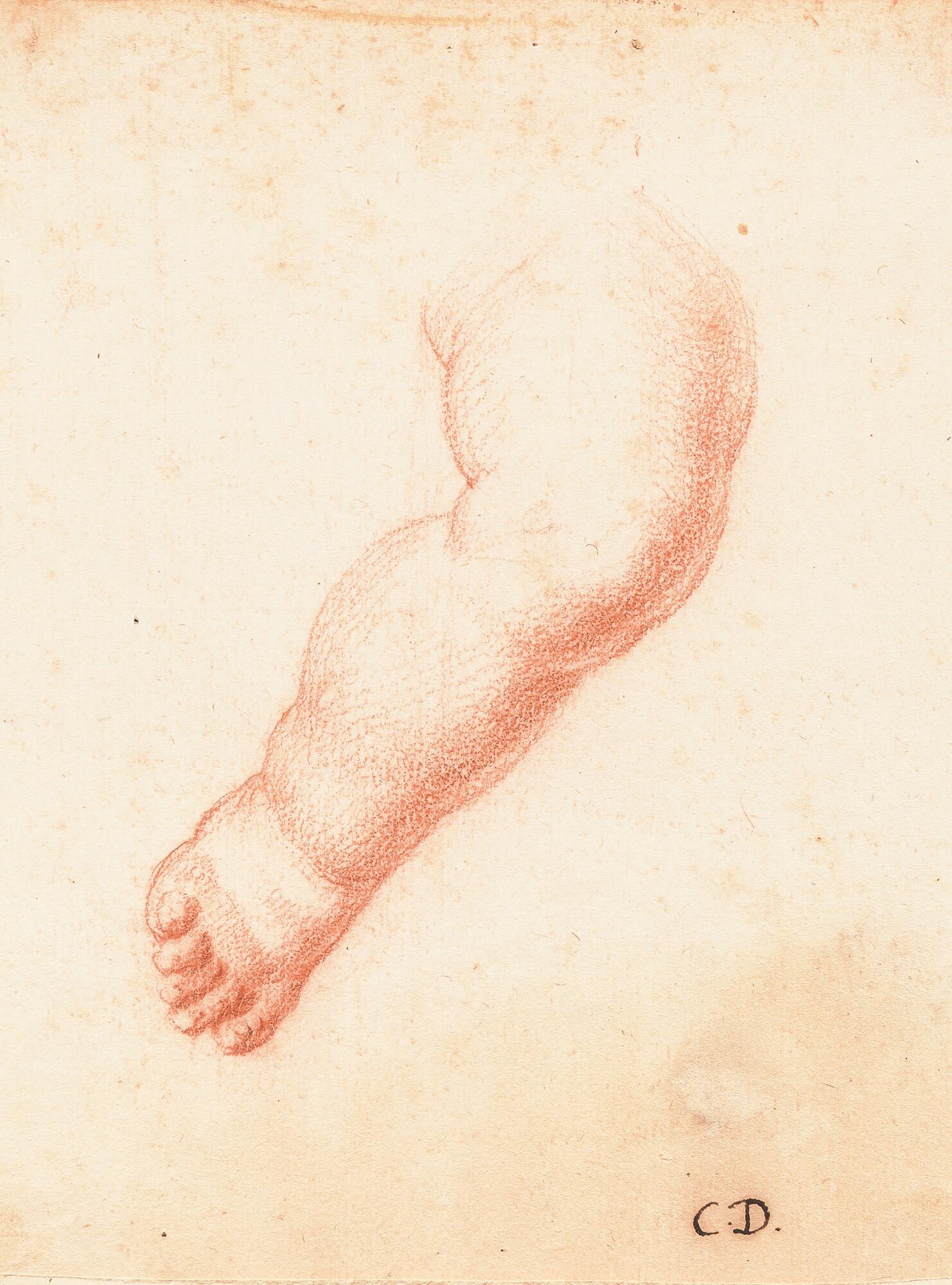 Cesare Dandini - 2 Bll.: Studie zu einem Jesusknaben – Detailstudie des Beins