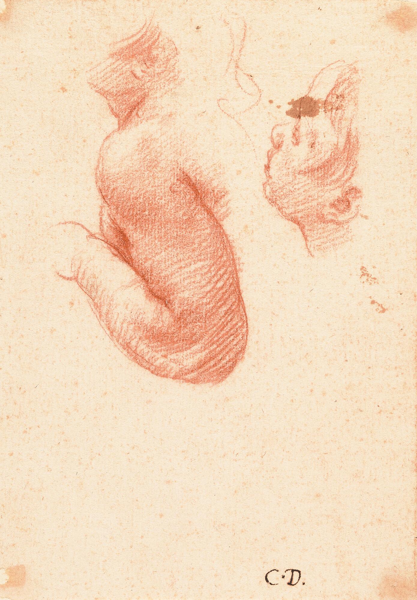 Cesare Dandini - Detailstudie zu einem Johannesknaben