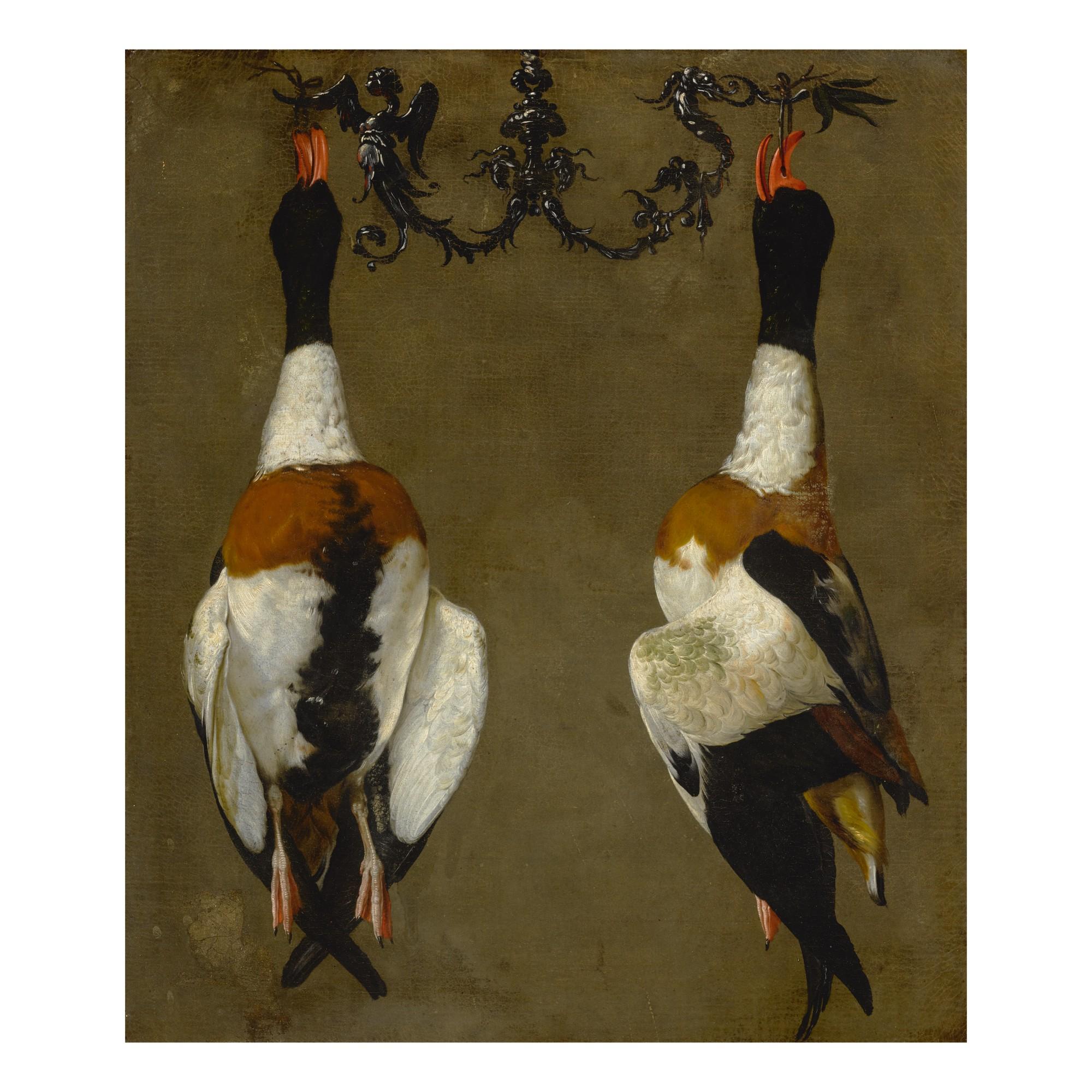 Cesare Dandini - Still life of two shelducks hanging from their bills