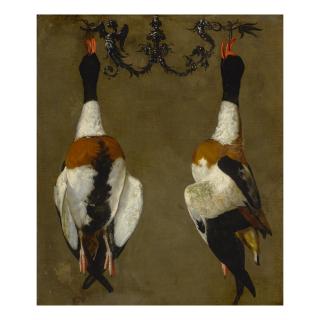 Cesare Dandini - Still life of two shelducks hanging from their bills