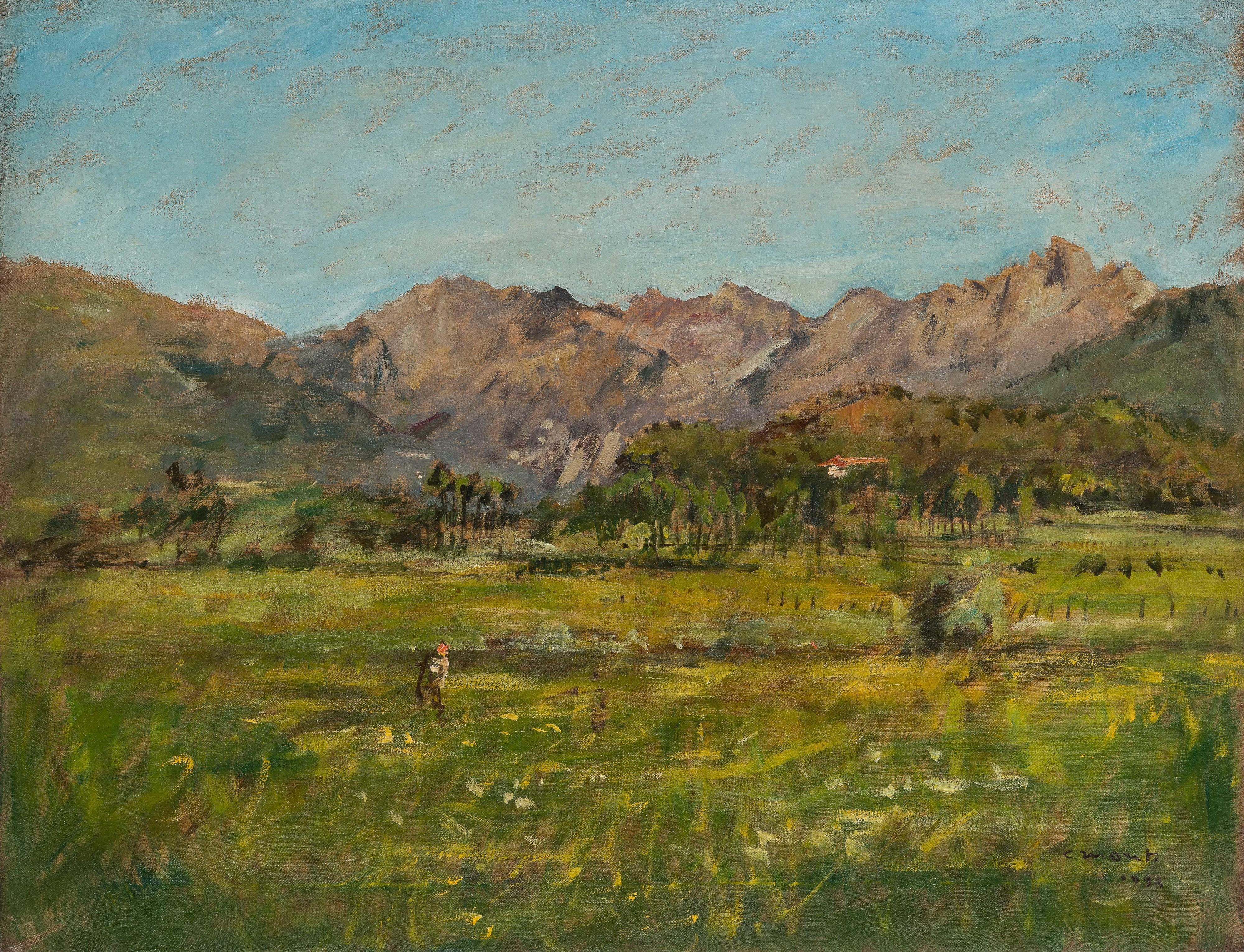 Cesare Monti - Piana di Dervio