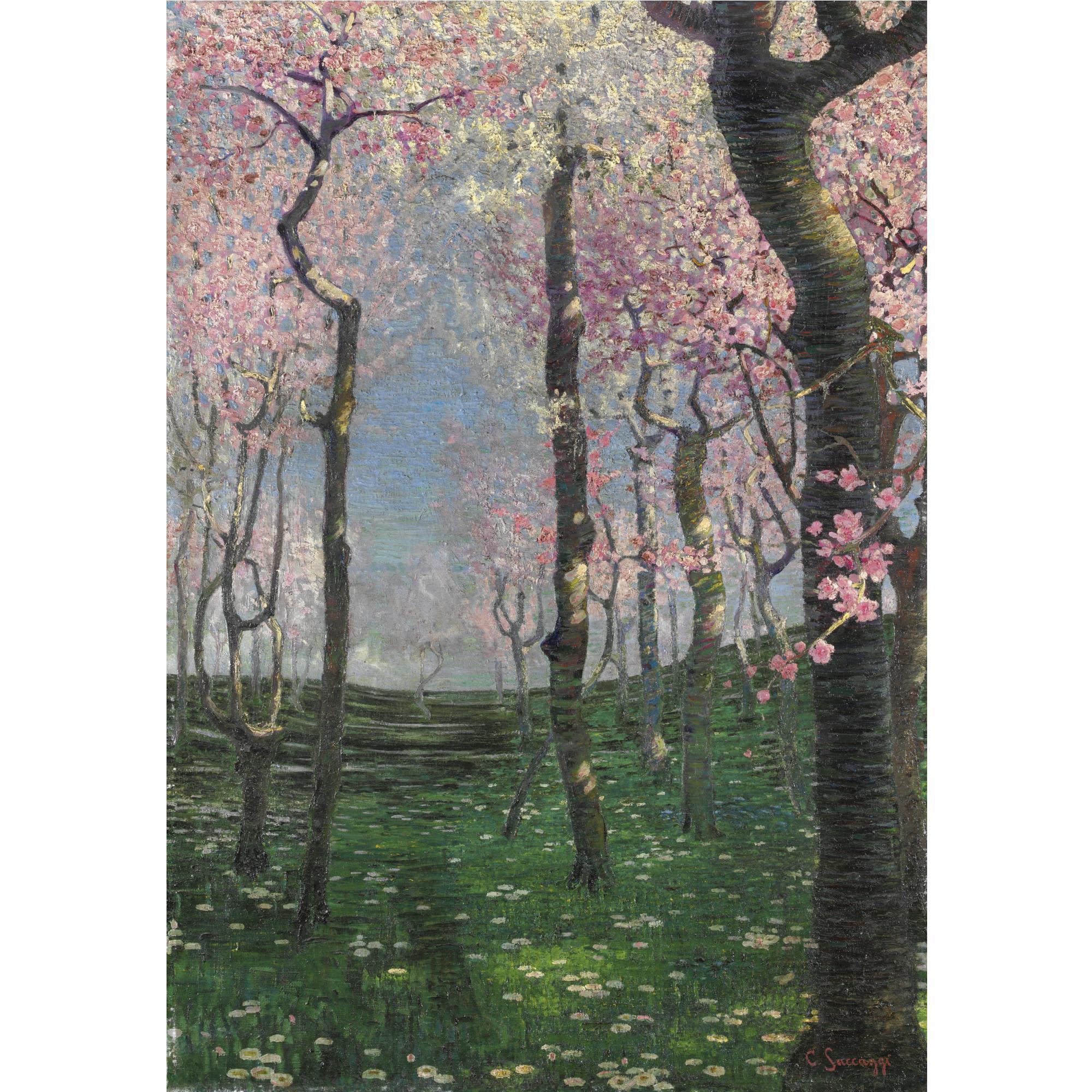 Cesare Saccaggi - Primavera